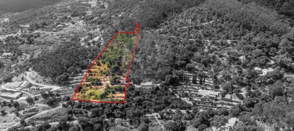 10400m² Land in Monchique, Portugal No. 326638 9