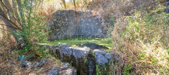 10400m² Land in Monchique, Portugal No. 326638 7