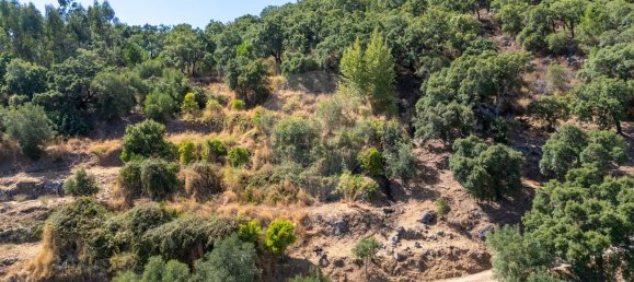 10400m² Land in Monchique, Portugal No. 326638 6