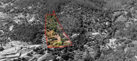 10400m² Land in Monchique, Portugal No. 326638 10