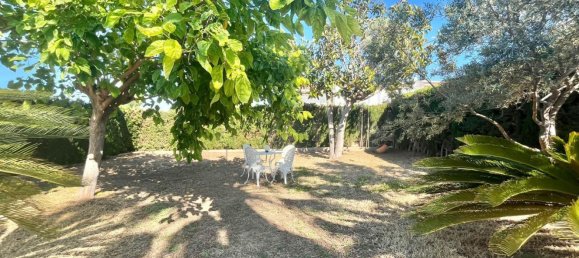 3 bedrooms House in Torrevieja, Spain No. 151938 38