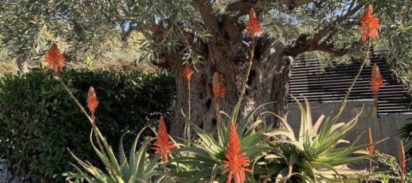 6 Schlafzimmer Villa in Loutraki, Greece, Nr. 2181 4