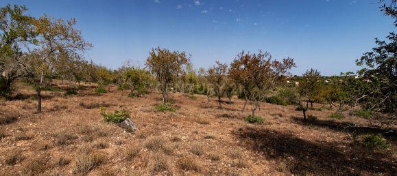 21770m² Land in Paderne, Portugal No. 73700 5