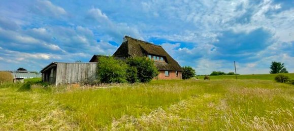 2 bedrooms House in Bergedorf, Germany No. 44838 20