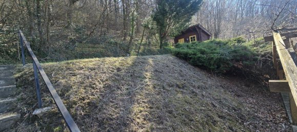 3 rooms House in St. Andra-Wordern, Austria No. 188272 28