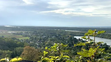 3 rooms House in St. Andra-Wordern, Austria No. 188272