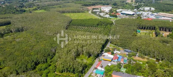 Grundstück in Phuket, Thailand, Nr. 60340 4