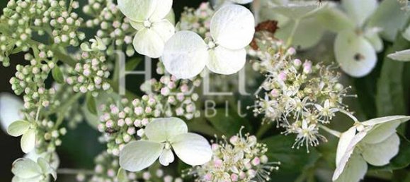 2 bedrooms Apartment in Saint-Germain-en-Laye, France No. 351414 19