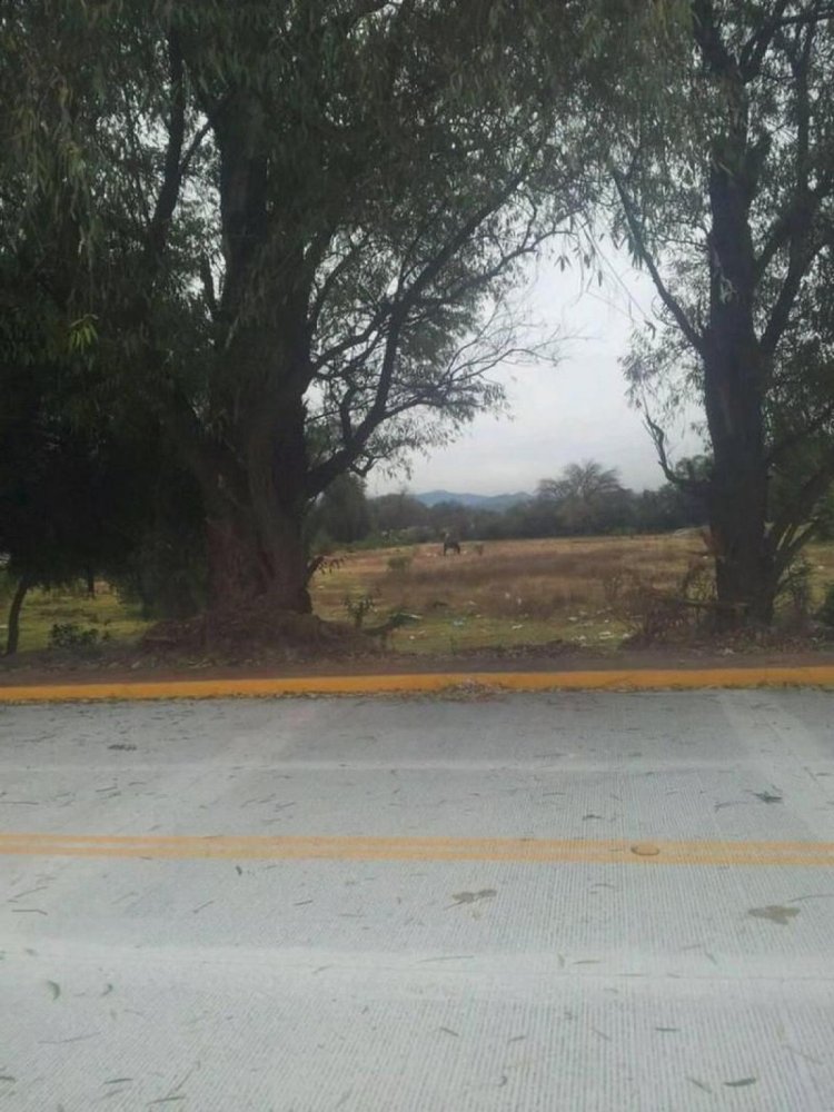  Land in Cuautitlan Izcalli, Mexico No. 205289