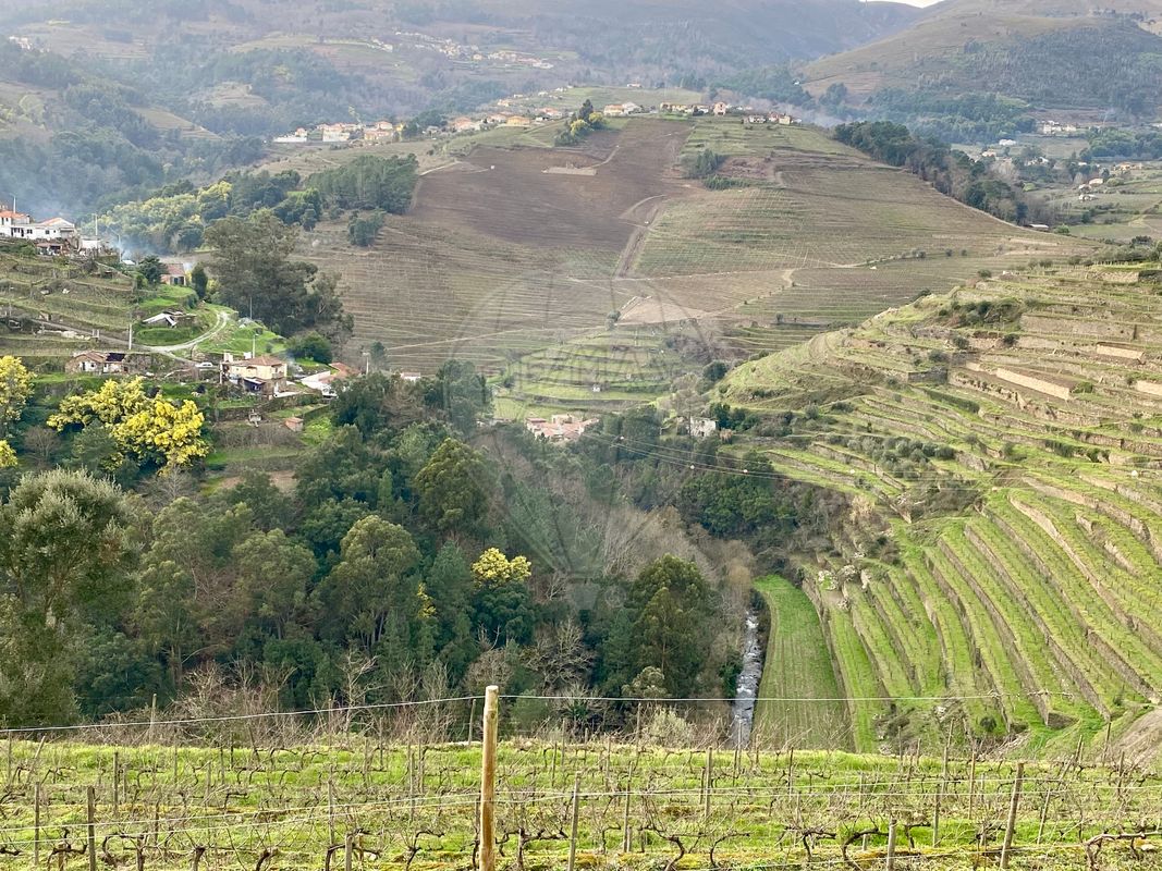 1 غرف نوم منزل في Peso da Regua, Portugal رقم 17447