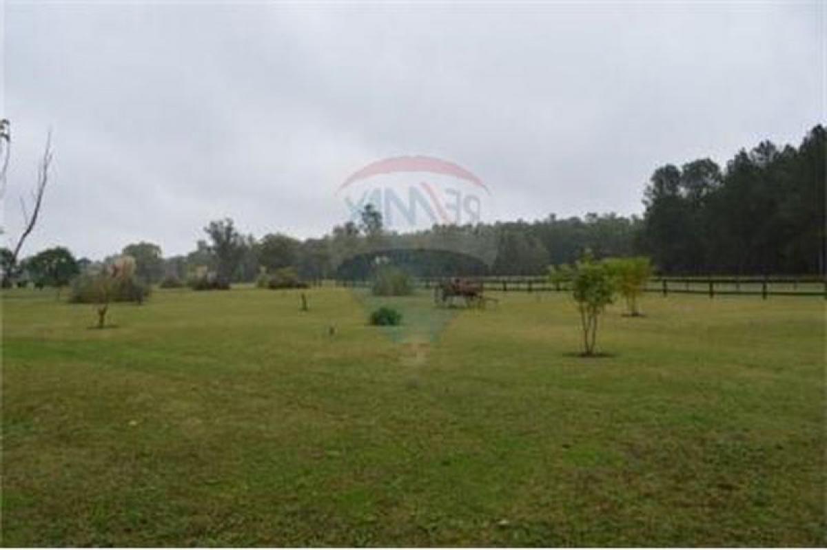 Grundstück in Buenos Aires, Argentina, Nr. 120719