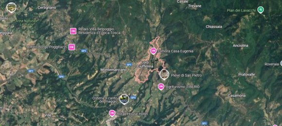  عقار تجاري في Castiglion Fibocchi, Italy 719متر مربع رقم 43923 9