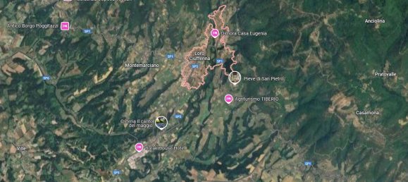  عقار تجاري في Castiglion Fibocchi, Italy 719متر مربع رقم 43923 12