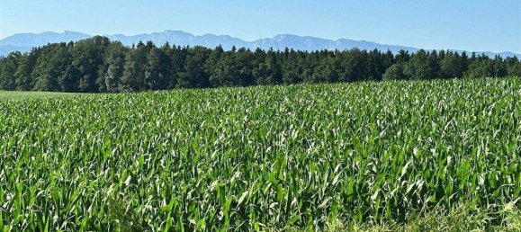 Дом с 4 комнатами в Нойкирхен ан дер Фёкла, Австрия № 207549 13