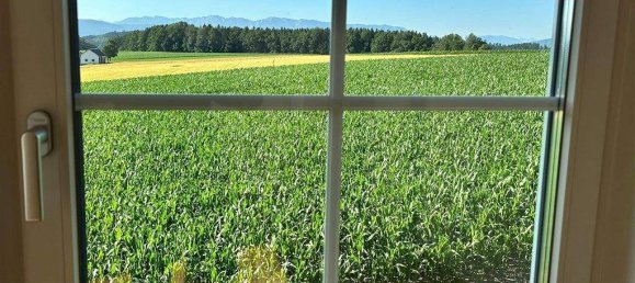 Дом с 4 комнатами в Нойкирхен ан дер Фёкла, Австрия № 207549 11