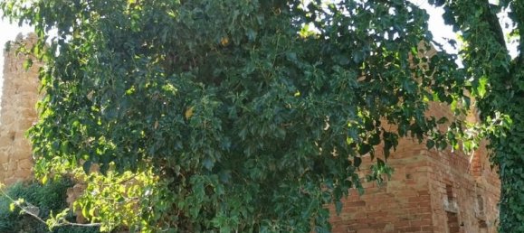 8 Schlafzimmer Haus in San Gimignano, Italy, Nr. 195468 11