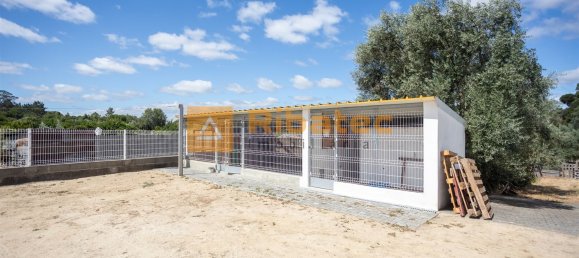 2 bedrooms House in Coruche, Portugal No. 225421 19