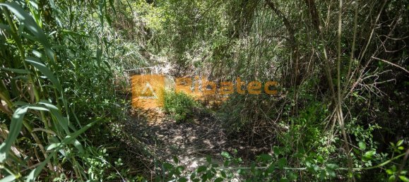 2 bedrooms House in Coruche, Portugal No. 225421 24