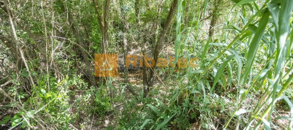 2 bedrooms House in Coruche, Portugal No. 225421 25