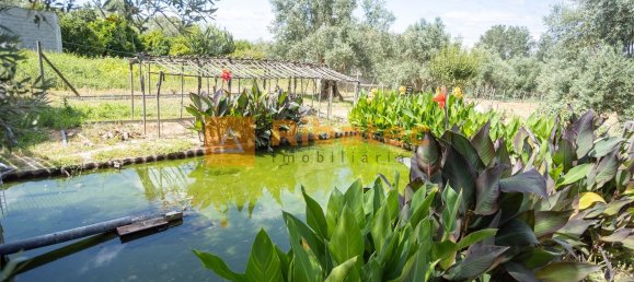 2 bedrooms House in Coruche, Portugal No. 225421 17