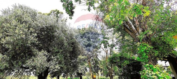 3 غرف نوم فيلا في Palazzolo sull'Oglio, Italy رقم 276805 32