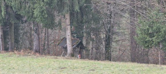 3غرفة منزل في Polfing-Brunn, Austria رقم 183985 28