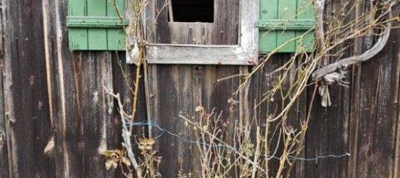 3غرفة منزل في Polfing-Brunn, Austria رقم 183985 34