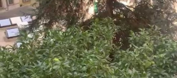 2 bedrooms Apartment in Rome, Italy No. 344363 18