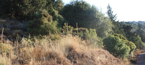 11842m² Hotel in Vamos, Greece No. 5588 8