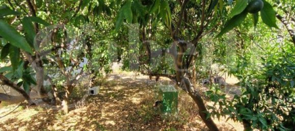 Villa de 21 divisão em Brindisi, Italy N.º 237518 30