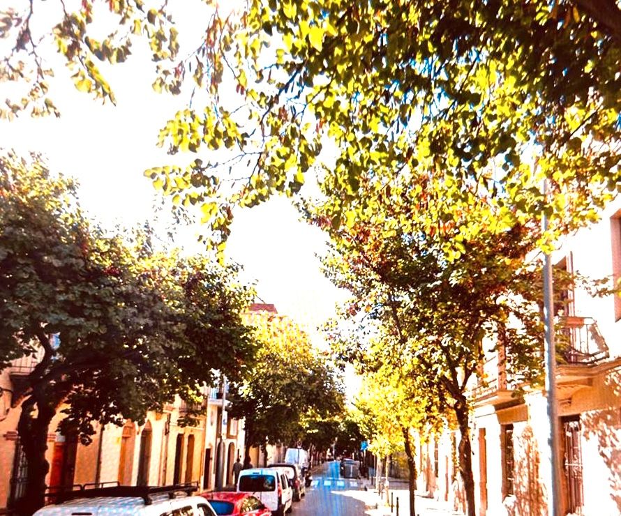 3 Schlafzimmer Stadthaus in Barcelona, Spain, Nr. 200544