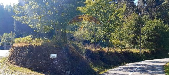 Terreno en Rossas, Portugal 5000 m² No. 36621 3