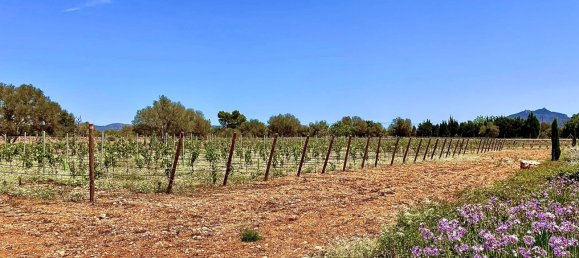 5 bedrooms House in Llucmajor, Spain No. 72943 27