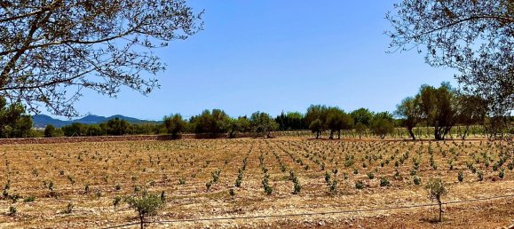 5 bedrooms House in Llucmajor, Spain No. 72943 26