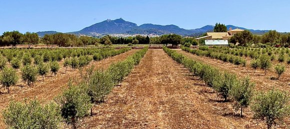 5 bedrooms House in Llucmajor, Spain No. 72943 25