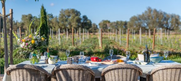 5 bedrooms House in Llucmajor, Spain No. 72943 20