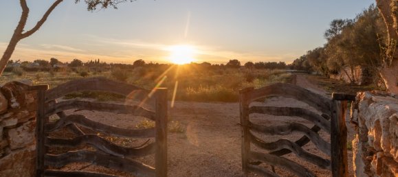 5 bedrooms House in Llucmajor, Spain No. 72943 21