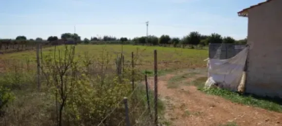 Grundstück in Binissalem, Spain 20m², Nr. 170070 17