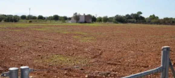 Grundstück in Binissalem, Spain 20m², Nr. 170070 9