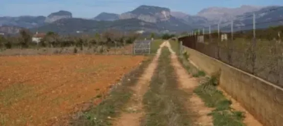 Grundstück in Binissalem, Spain 20m², Nr. 170070 10