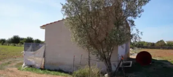 Grundstück in Binissalem, Spain 20m², Nr. 170070 15