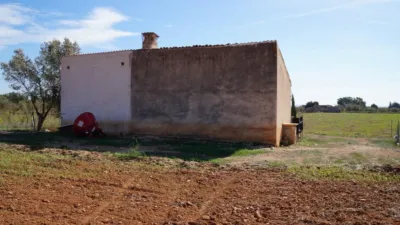 20m² Land in Binissalem, Spain No. 170070