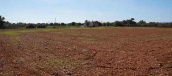 Grundstück in Binissalem, Spain 20m², Nr. 170070 6