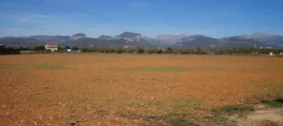 Grundstück in Binissalem, Spain 20m², Nr. 170070 16