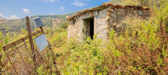 Estúdio em Riomaggiore, Italy N.º 148187 13