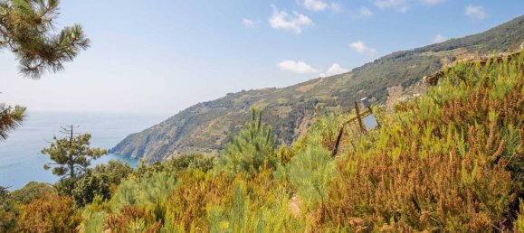 Estúdio em Riomaggiore, Italy N.º 148187 14