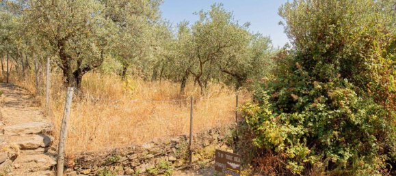 Estúdio em Riomaggiore, Italy N.º 148187 15