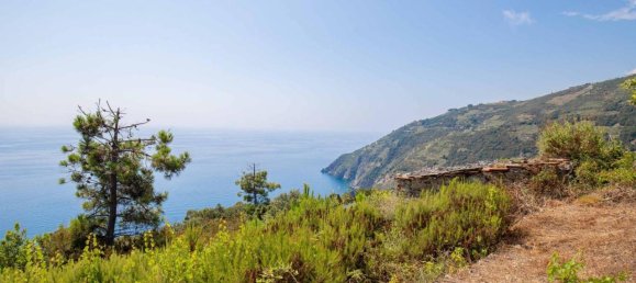 Estúdio em Riomaggiore, Italy N.º 148187 5