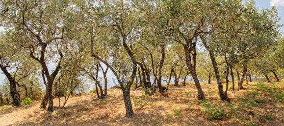 Estúdio em Riomaggiore, Italy N.º 148187 17