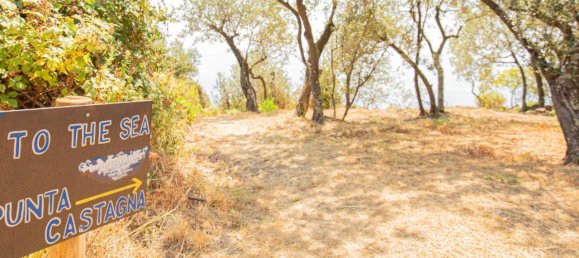 Estúdio em Riomaggiore, Italy N.º 148187 16